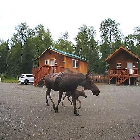 Talkeetna Love-Lee Cabins Hotel Exterior foto